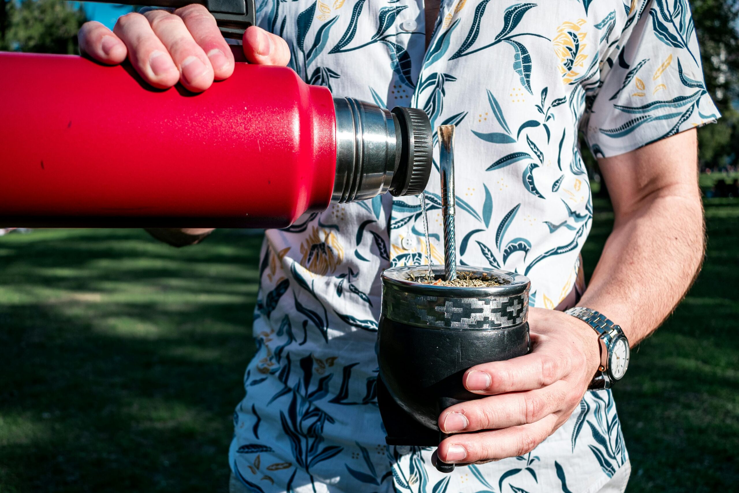 Hva er yerba mate